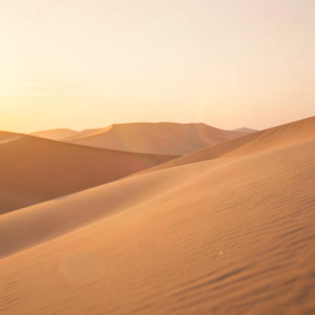 Dunes de sable au coucher du soleil